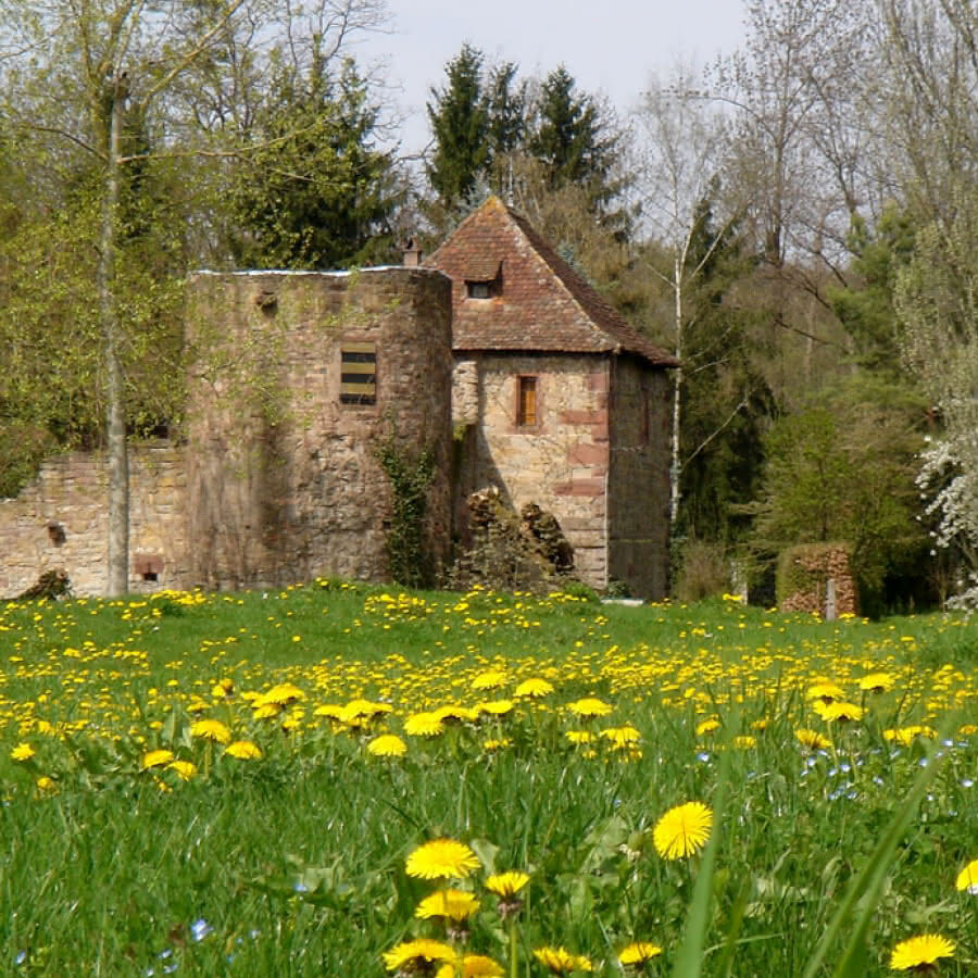 243002269-balade-ludique-a-mittelhausen-1-1600x900